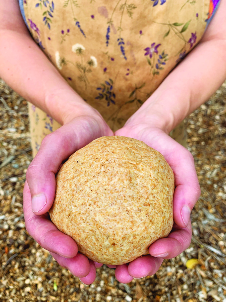 Sourdough Crackers - Grit